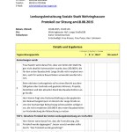 thumbnail of 2015-08-18 Protokoll Lenkungskreissitzung